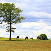 Tree And Horses Poster