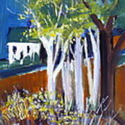 Trees And White Farm House Poster