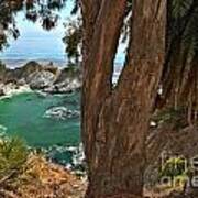 Trees Over Mcway Falls Poster