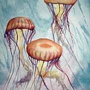 Tres Jellyfish Poster