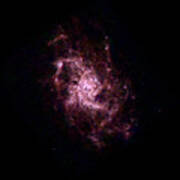 Triangulum Galaxy M33 Poster