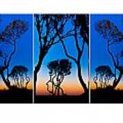 Triptych Trees Image Art Poster
