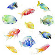 Tropical Fish Round Poster