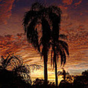 Tropical Sunset Poster