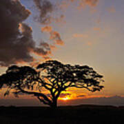 Tsavo Sunset Poster