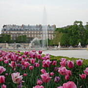 Tuileries Garden In Bloom Poster