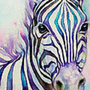 Turquoise Stripes Zebra Poster