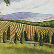 Tuscan Vineyard Poster