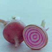 Two Chioggia Beets Poster