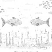 Two Fish Speak Underwater Poster