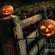 Two Halloween Pumpkins Sitting On Fence Poster