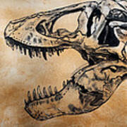 Tyrannosaurus Skull Poster