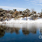 Urban Pond In Snow Poster