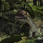Utahraptor In A Prehistoric Forest Poster
