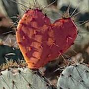 Valentine Prickly Pear Cactus Poster