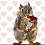 Valentines Day Squirrel With A Dozen Red Roses Poster