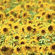 Van Gogh Sunflowers Poster