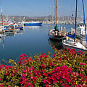 Ventura Harbor Poster