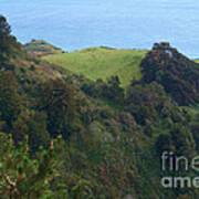 View From Nepenthe In Big Sur Poster