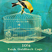Goldfinch Poster