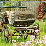Vintage Horse Carriage In A Flower Bed Poster