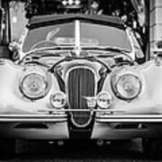 Vintage Jaguar -0924bw Poster