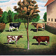 Vintage Typical Cows 1904 Poster Poster