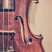 Vintage Violin Portrait 2 Poster