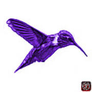 Violet Hummingbird - 2054 F S Poster