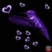 Violet Hummingbird - 2055 F M Poster