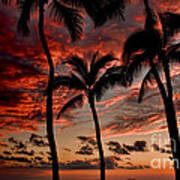 Waikiki Sunset Poster