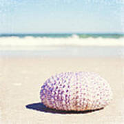 Walking The Shore - Seashell Beach Photography Poster
