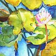 Water Lily Poster