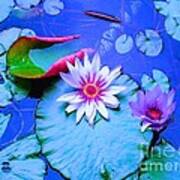Water Lily I Poster