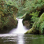 Waterfall In A Forest, Punch Bowl Poster