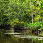 Waterway To Sandy Island Poster