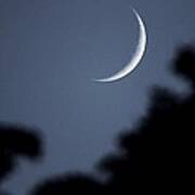 waxing-crescent-moon-in-the-forest-dan-sproul.jpg