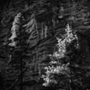 West Fork Rock Face Number Three Black And White Poster
