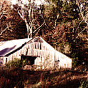 White Barn In Autumn Poster