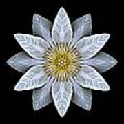 White Clematis Flower Mandala Poster