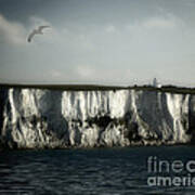 White Cliffs Of Dover Poster