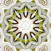White Daisies Kaleidoscope Poster