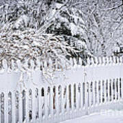 White Fence With Winter Trees Poster