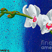 White Orchids On Blue Poster