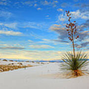 White Sands Afternoon 1 Poster