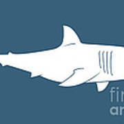 White Shark Poster