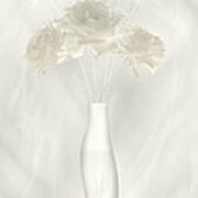 White Soft Roses In Vas Poster
