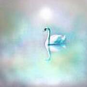White Swan In The Fog Poster
