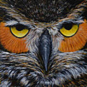 Whooo Is Looking At You? Poster