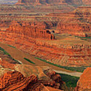 Wild Flowers At Dead Horse Point. Poster